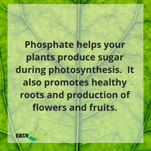 TRIPLE SUPER PHOSPHATE FERTILIZER 0-46-0 | phosphorus fertilizer for gardens, lawns, indoor and outdoor plants | ROCK PHOSPHATE PLANT FOOD FERTILIZER FOR ORCHIDS, WISTERIA, CACTUS AND ALL OTHER PLANTS