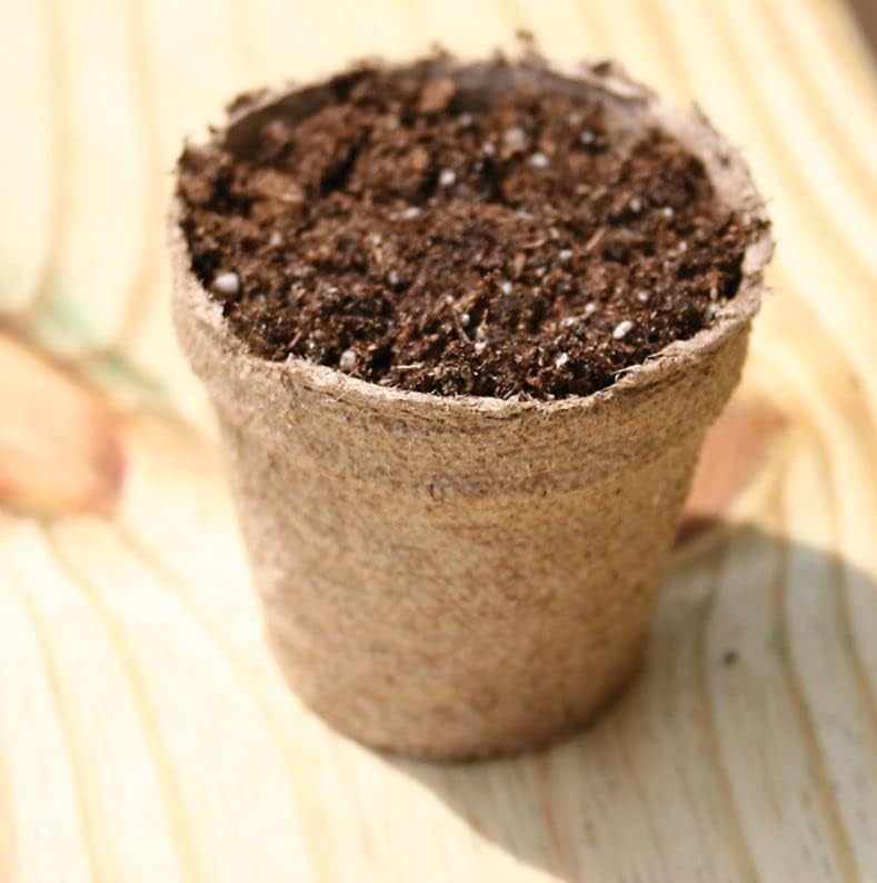 Jiffy-PotsOrganic Seed Starting 4" Biodegradable Peat Pots, 6 Pack