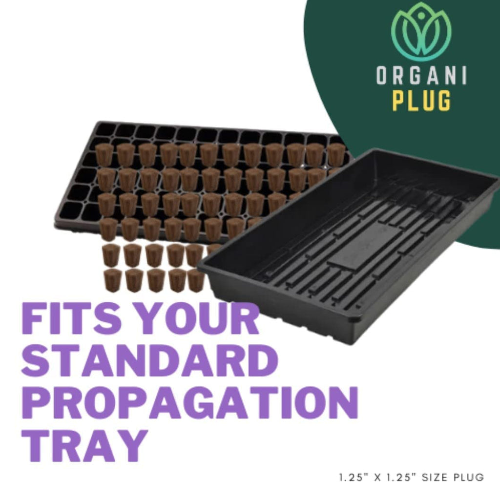 VPS OrganiPlug Hydroponic Seed Starter Plugs, 100 Pack, Rapid Root Planting Pods for Seedling, Clone, Cutting, Promotes Plant, Flower, Vegetable Growth w/Organic Soil Ingredients, Fits Standard Tray