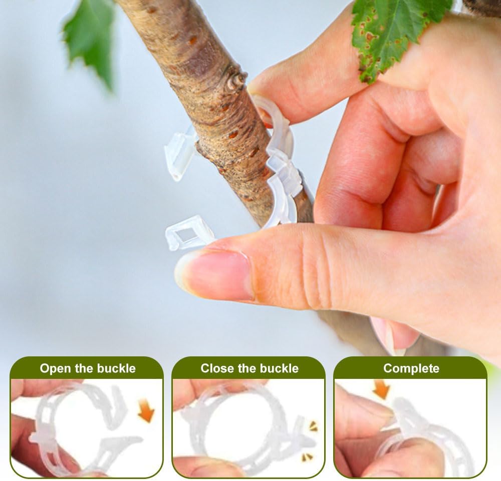 Plant Support Clips, Garden Clips for Climbing Plants, Tomato Clips Plastic Plant Clips, Plant Clips for Support Grape Tomato Vegetables Plants to Grow Upright Makes Plants Healthier (100, Green)