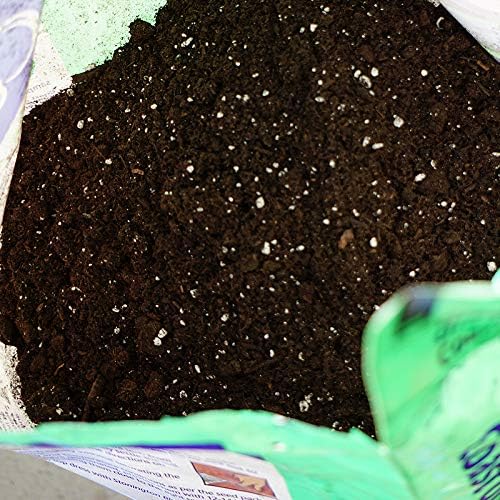 Coast of Maine Organic & Natural Sprout Island Blend Seed Starter - Seed Germination & Root Plant Cuttings w/ Composted Manure, Mycorrhizae, Worm Castings & Kelp - Enhanced Drainage (8 Qt)