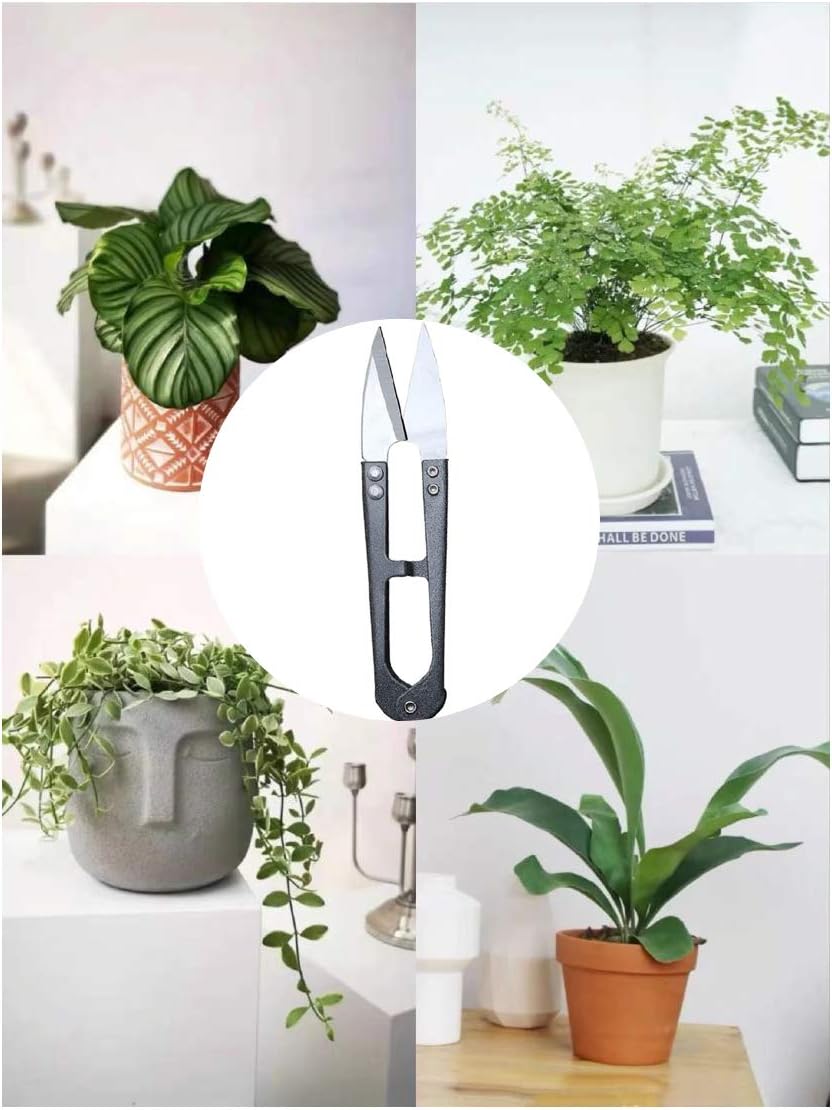 MUUZLL 3 Pack 4.1Inch Bonsai Pruning Scissors, Bud And Leaves Trimmer Yarn Thread Cutter Snips Trimming Supplies, Garden Plants, Gardening Clippers Flower, Stainless Steel Pruners Trimmers