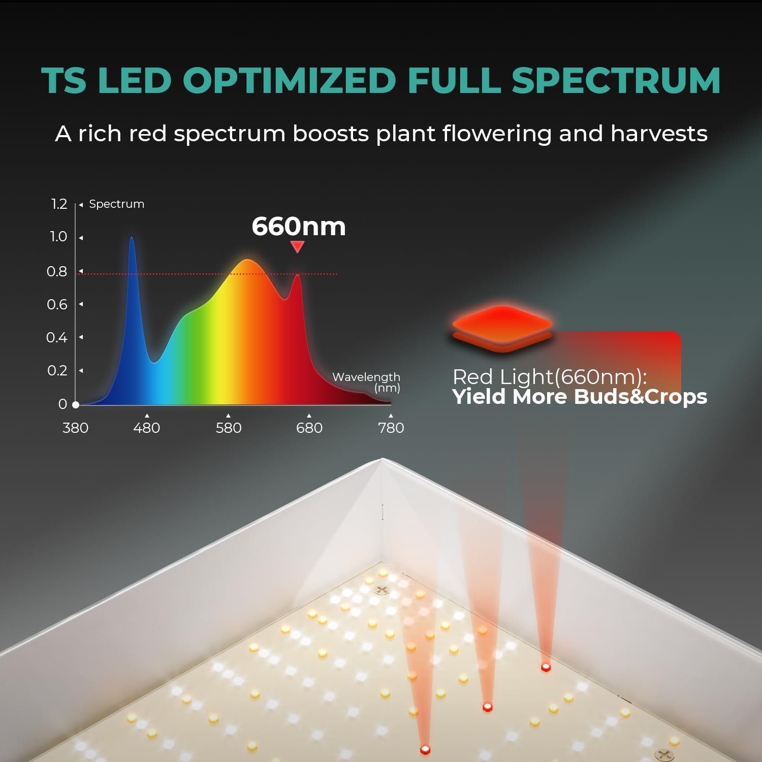 MARS HYDRO 150W TS1000 LED Grow Light for Indoor Plants Full Spectrum | Patented Reflective Hood, Dimmable & Silent Fanless, Daisy-Chain Link, Uniform Light for 2x2/3x3 Grow Tent, Veg to Bloom