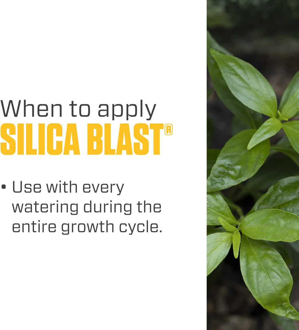 Botanicare Silica Blast, Plant Supplement, 0-0-0.5, 1 qt.
