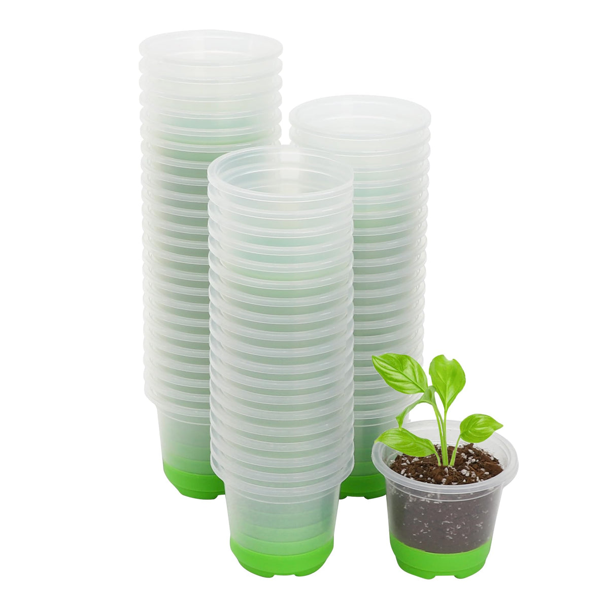 MIXC Clear Nursery Pots with Silicone Base, 4-Inch, 30-Pack | Sturdy Construction, Flexible Base, Drainage Holes, Root and Soil Visibility, Reusable, Seed Starting, Propagation, Green
