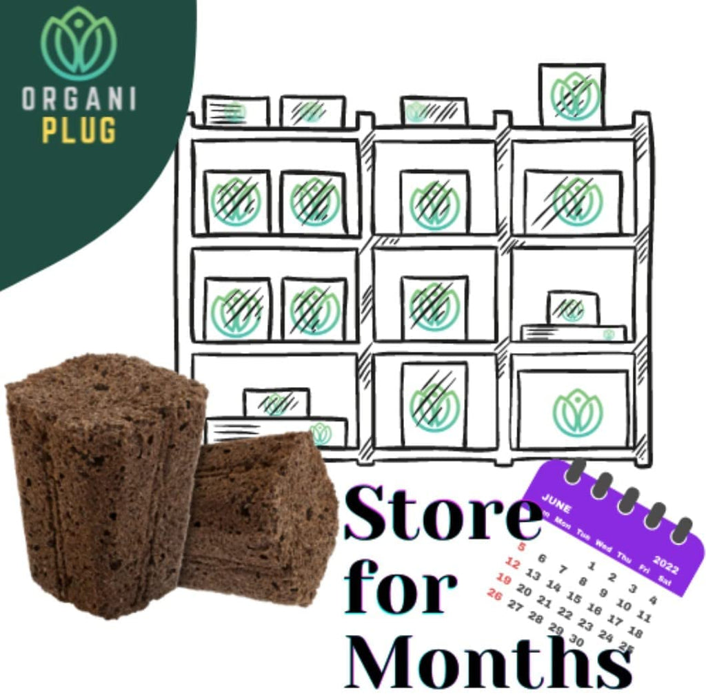 VPS OrganiPlug Hydroponic Seed Starter Plugs, 100 Pack, Rapid Root Planting Pods for Seedling, Clone, Cutting, Promotes Plant, Flower, Vegetable Growth w/Organic Soil Ingredients, Fits Standard Tray