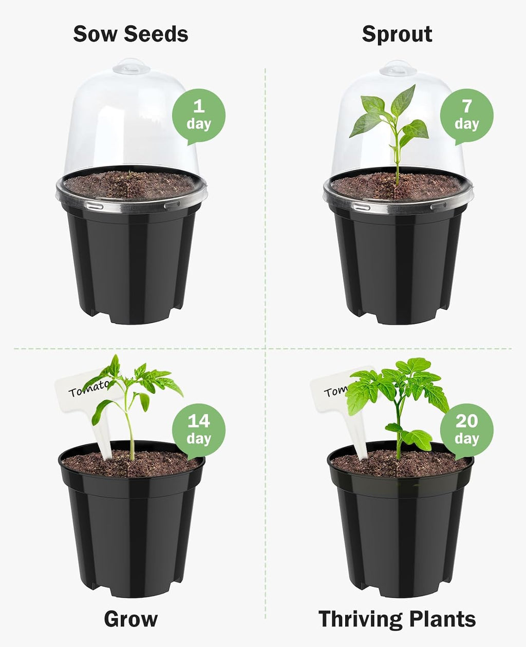 3/4/5 Inch Black Plastic Nursery Pots with Humidity Domes (15 Pcs) | Drainage holes and raised bases improve airflow, while plant labels identify cuttings, seedlings, herbs and young succulents.