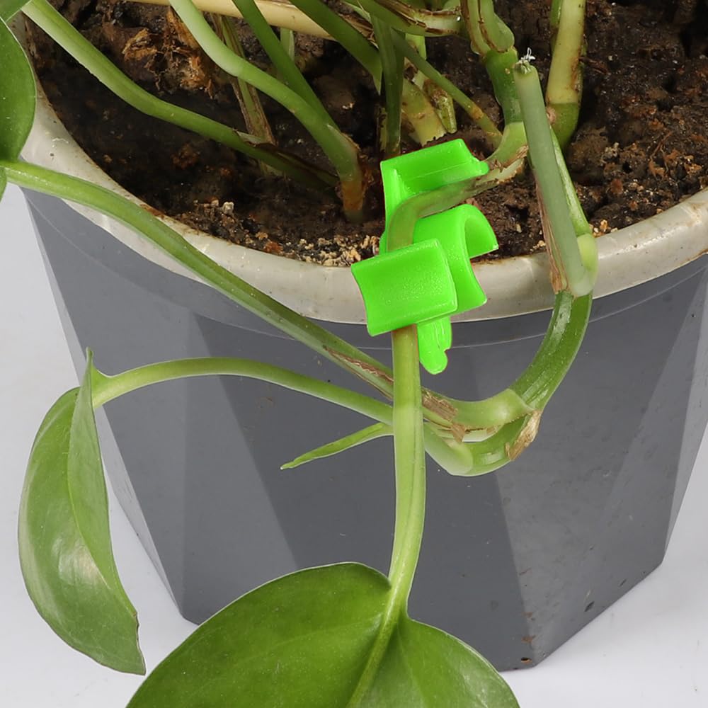 LucyPhy 30 Pack Plant Bender Angle Adjustable Plant Training Clips Low Stress Training Clips 90 Degrees Plant Stem(Circle Style,Red)