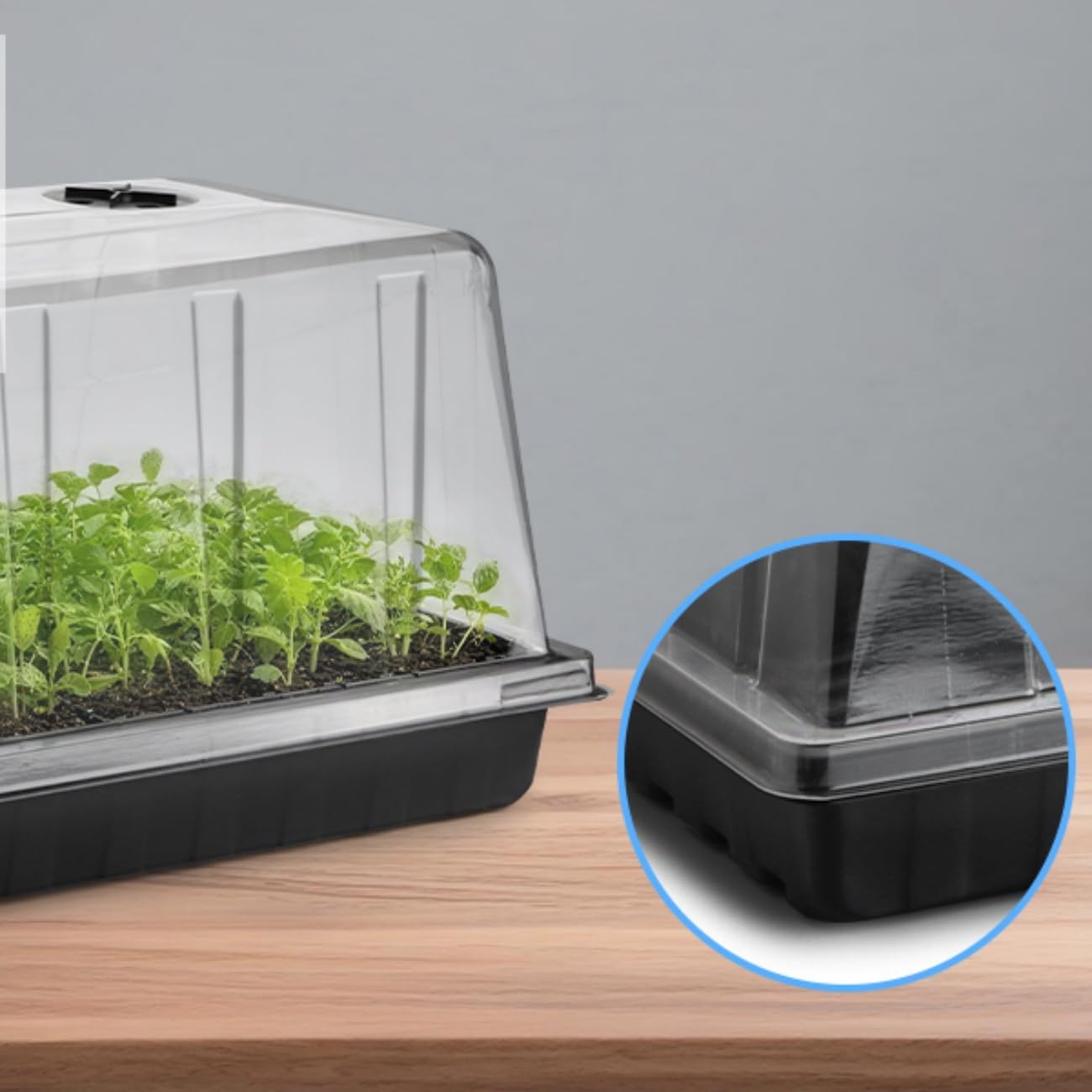 BTPLASTIK 10 Pack 7.3" High Humidity Domes for 1020 Seed Trays – Thicker Platic Clear Humidity Dome with Adjustable Vents, BPA-Free, Fits Standard 10"x20" Trays for Germination, Propagation, Cloning