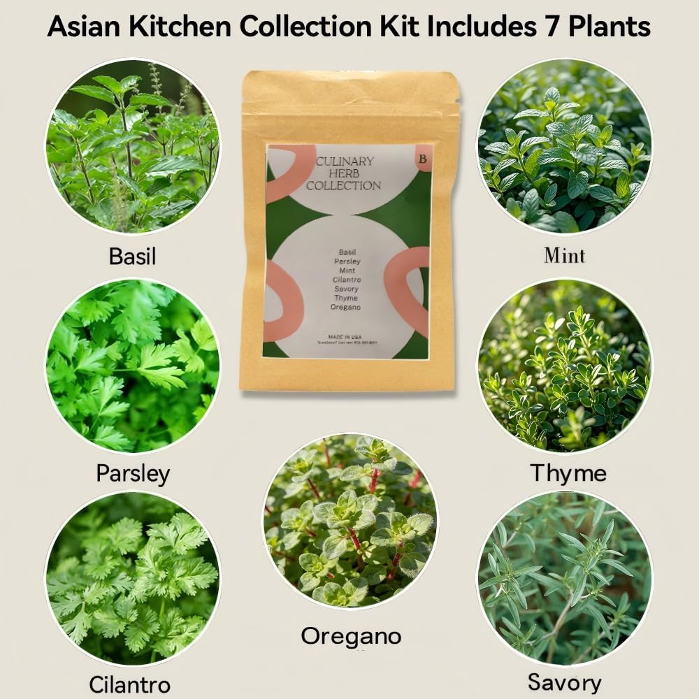 inbloom Hydroponics Herb Seed Pod Kit for AeroGarden, iDoo, Ahopegarden, GARDENCUBE, 7 Pods (350+ Herb Seeds with Basil, Parsley, Mint, Cilantro, Savory, Thyme and Oregano)
