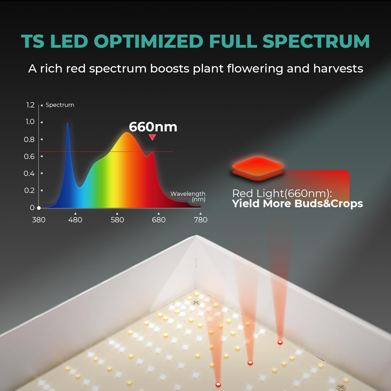MARS HYDRO 150W TS1000 LED Grow Light for Indoor Plants Full Spectrum | Patented Reflective Hood, Dimmable & Silent Fanless, Daisy-Chain Link, Uniform Light for 2x2/3x3 Grow Tent, Veg to Bloom