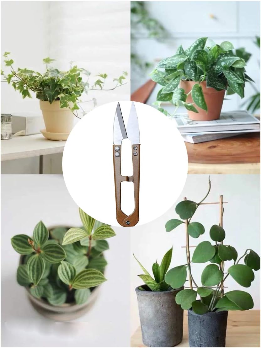 MUUZLL 3 Pack 4.1Inch Bonsai Pruning Scissors, Bud And Leaves Trimmer Yarn Thread Cutter Snips Trimming Supplies, Garden Plants, Gardening Clippers Flower, Stainless Steel Pruners Trimmers