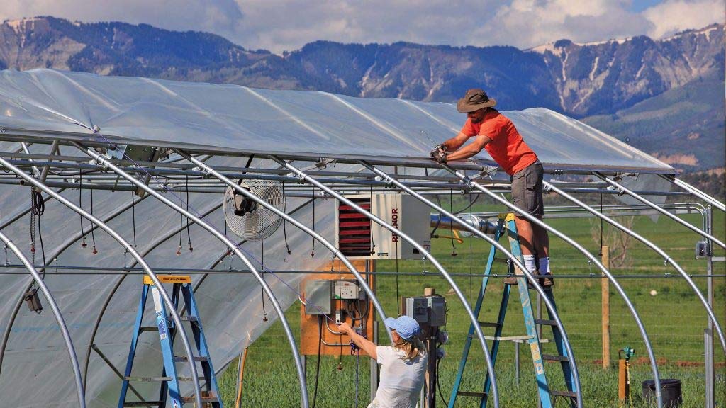 A&A Greenhouse Clear Plastic Film 8 mil - Polyethylene Covering - UV Protection - (10 ft. W x 25 ft. L)