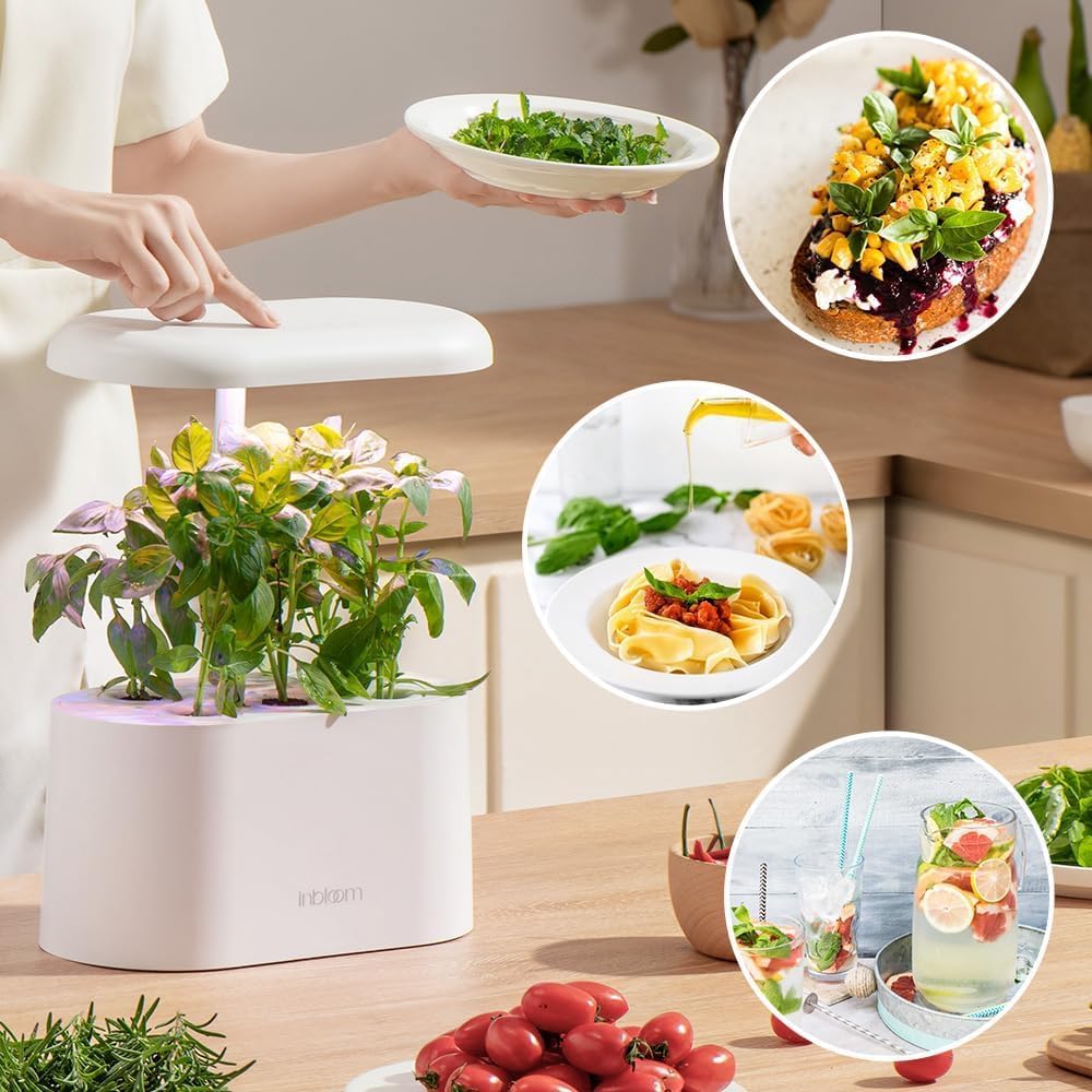 inbloom Hydroponics Herb Seed Pod Kit for AeroGarden, iDoo, Ahopegarden, GARDENCUBE, 7 Pods (350+ Herb Seeds with Basil, Parsley, Mint, Cilantro, Savory, Thyme and Oregano)