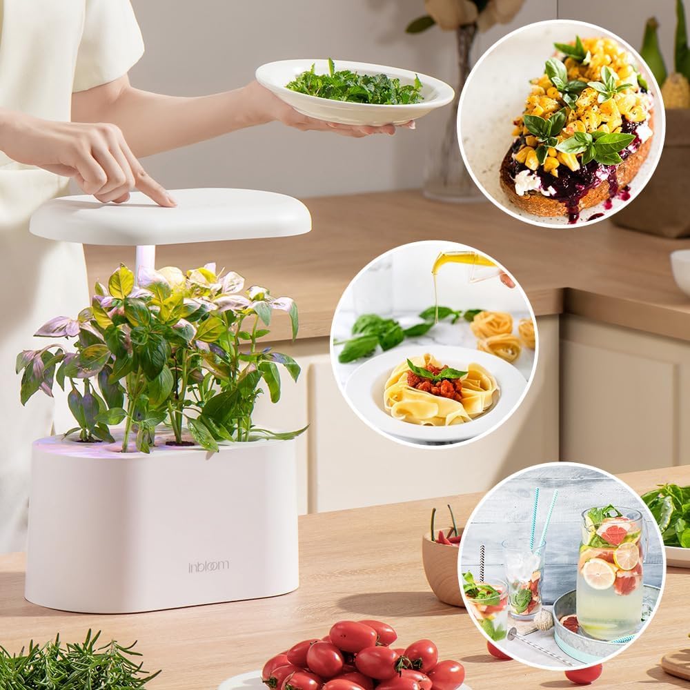 inbloom Hydroponics Herb Seed Pod Kit for AeroGarden, iDoo, Ahopegarden, GARDENCUBE, 7 Pods (350+ Herb Seeds with Basil, Parsley, Mint, Cilantro, Savory, Thyme and Oregano)