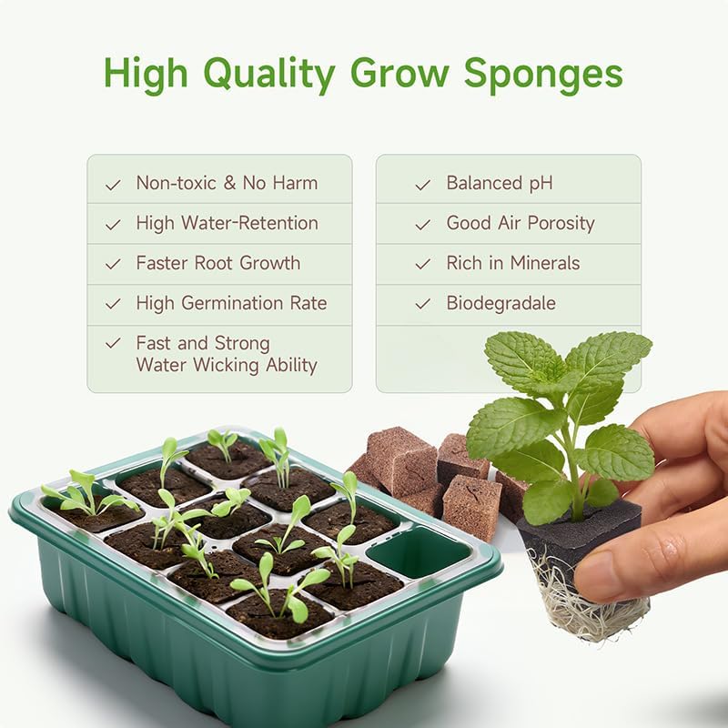 50 Packs Cuttage Grow Sponges, Pods Root Growth Sponge Eco Friendly PH Balance, Square Sponge Replacement Part Seedling Starter Sponges for Hydroponic Indoor Garden System Cuttage Rooting