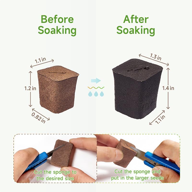 50 Packs Cuttage Grow Sponges, Pods Root Growth Sponge Eco Friendly PH Balance, Square Sponge Replacement Part Seedling Starter Sponges for Hydroponic Indoor Garden System Cuttage Rooting