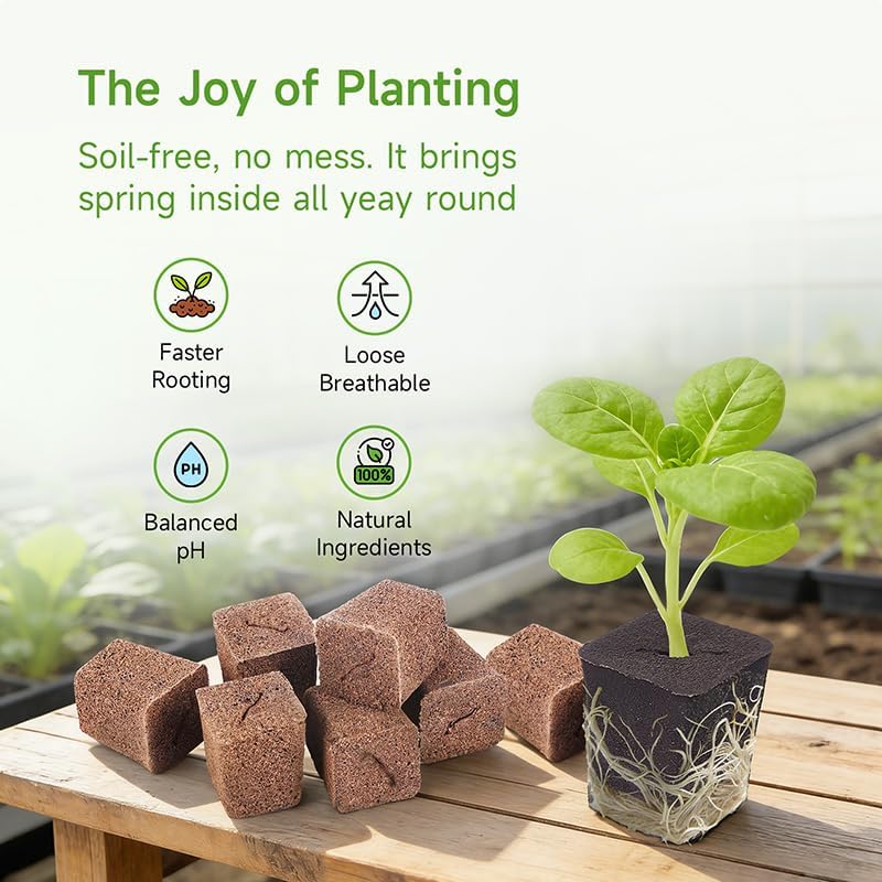50 Packs Cuttage Grow Sponges, Pods Root Growth Sponge Eco Friendly PH Balance, Square Sponge Replacement Part Seedling Starter Sponges for Hydroponic Indoor Garden System Cuttage Rooting