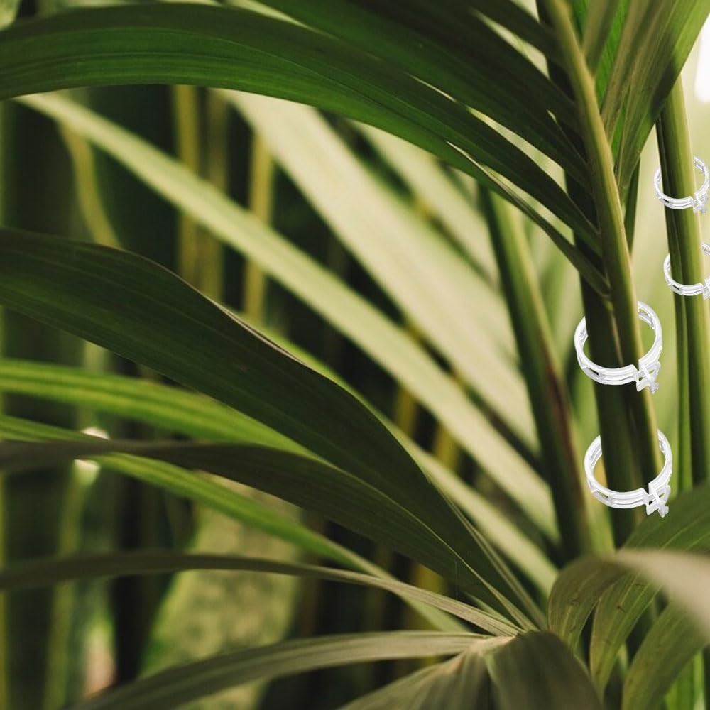 Plant Support Clips, Garden Clips for Climbing Plants, Tomato Clips Plastic Plant Clips, Plant Clips for Support Grape Tomato Vegetables Plants to Grow Upright Makes Plants Healthier (100, Green)