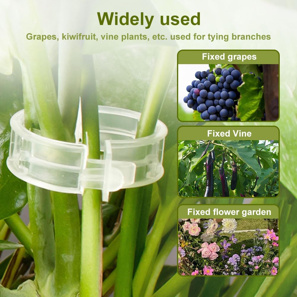 Plant Support Clips, Garden Clips for Climbing Plants, Tomato Clips Plastic Plant Clips, Plant Clips for Support Grape Tomato Vegetables Plants to Grow Upright Makes Plants Healthier (100, Green)