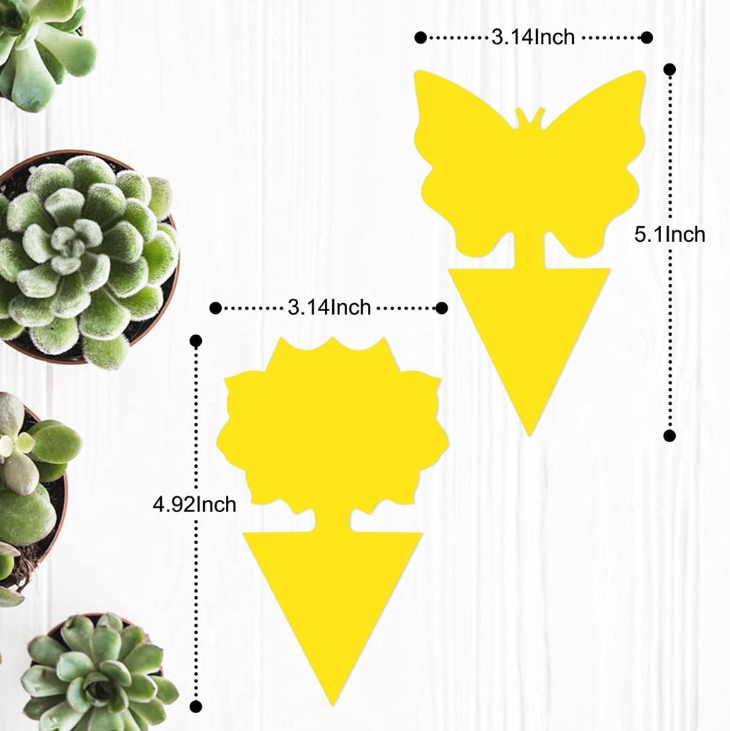 Yellow Sticky Fruit Fly Trap 36 Pack, Dual-Sided Gnat Traps for Plants | Catches Fungus Gnats, Fruit Fly, Whitefly, Aphid, Leaf Miner, No Harm & Odorless, Safe For Indoor Garden & Outdoor Plant Use