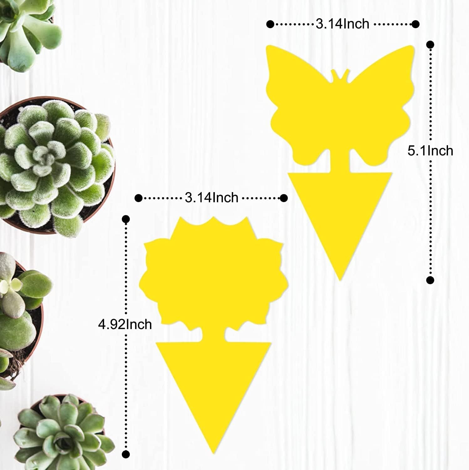 Yellow Sticky Fruit Fly Trap 36 Pack, Dual-Sided Gnat Traps for Plants | Catches Fungus Gnats, Fruit Fly, Whitefly, Aphid, Leaf Miner, No Harm & Odorless, Safe For Indoor Garden & Outdoor Plant Use