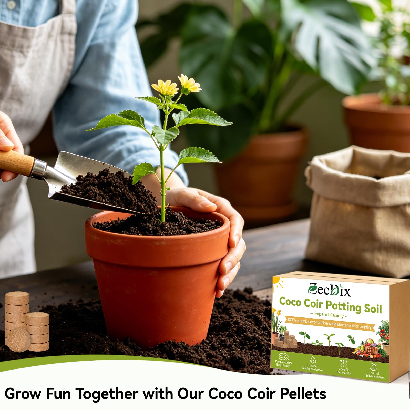 100 Pack 30mm Organic Coco Coir Pellets Seed Starter Soil | Low EC, pH Balance, Potting Soil Mix, Indoor Outdoor Plants, Herbs Houseplants Bonsai Vegetables Flowers