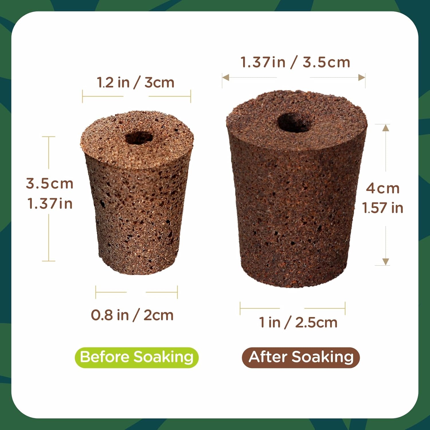 70 Count Hydroponic Grow Sponges, Pre-Drilled Seed Starter Plugs | Hydroponic Refill Pods for Starting Seeds, Herbs, Lettuce and Cuttings in Compatible Indoor Hydroponic Growing Systems.