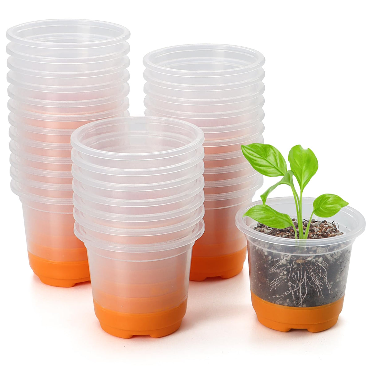 MIXC Clear Nursery Pots with Silicone Base, 4-Inch, 30-Pack | Sturdy Construction, Flexible Base, Drainage Holes, Root and Soil Visibility, Reusable, Seed Starting, Propagation, Green