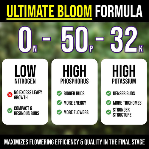Bloom Booster Flowering Enhancer & Heavy Harvests – High-Density PK Formula – BudCharge 0-50-32 | Ideal for Fruit & Flower Production (5, Ounces)
