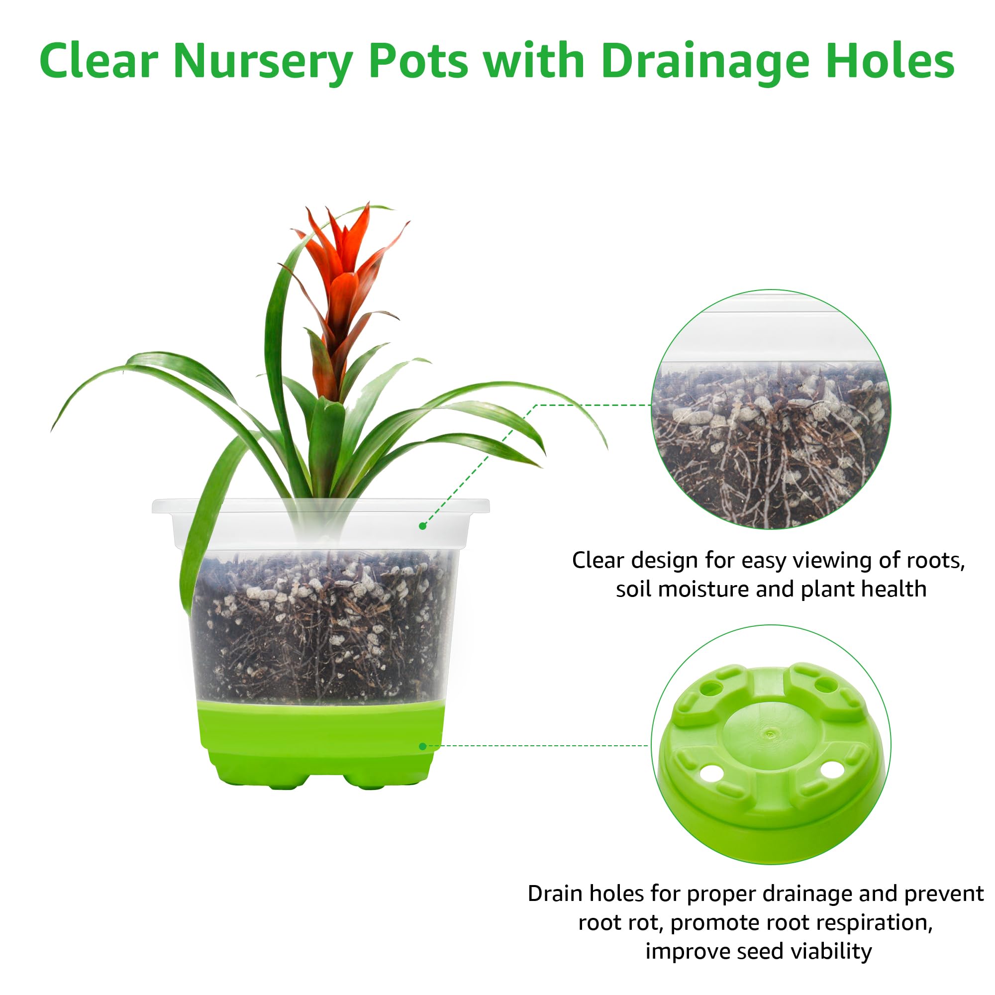 MIXC Clear Nursery Pots with Silicone Base, 4-Inch, 30-Pack | Sturdy Construction, Flexible Base, Drainage Holes, Root and Soil Visibility, Reusable, Seed Starting, Propagation, Green