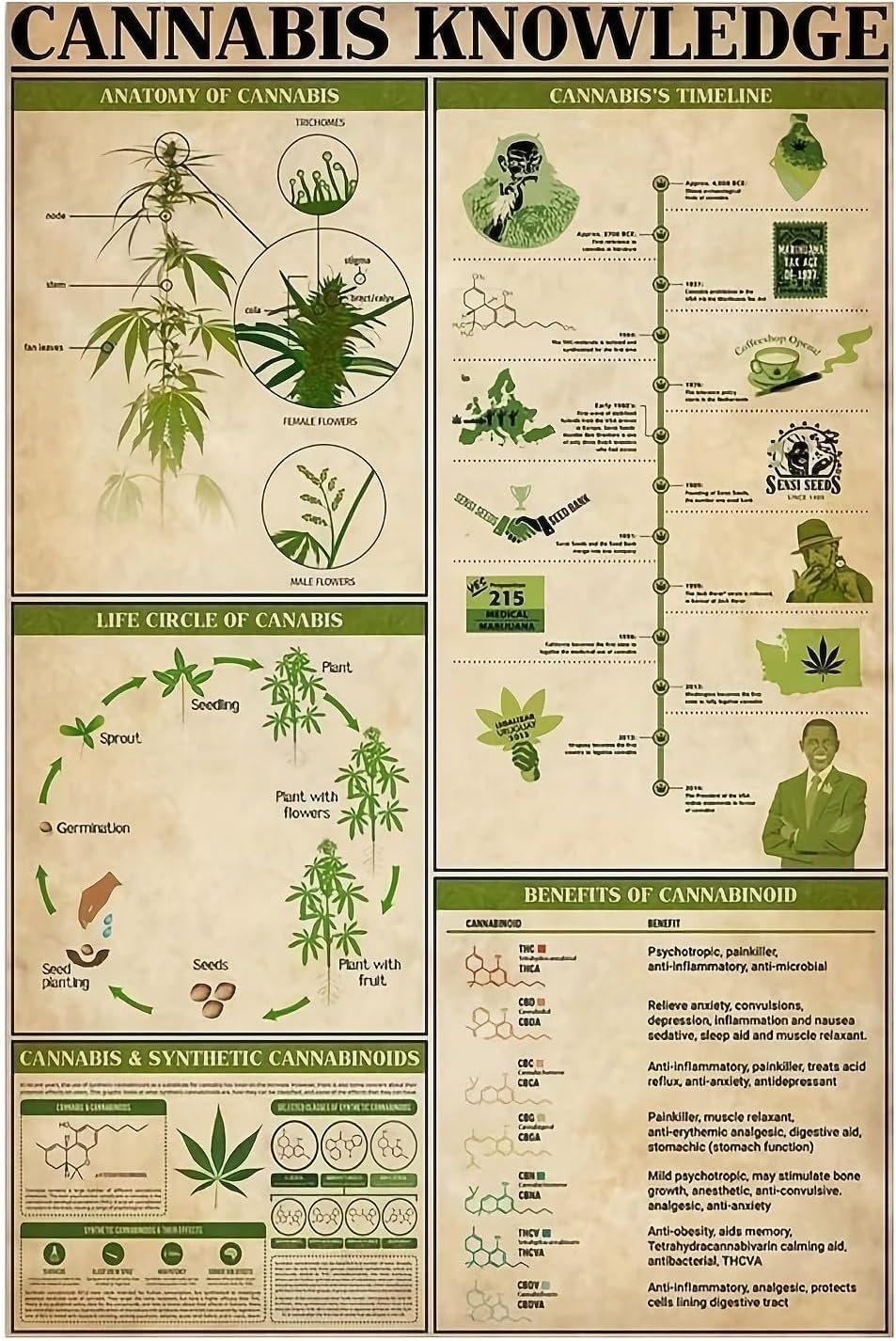 Cannabis Knowledge Vintage Wall Sign: 8x12 Inch, Gauge Steel, Pre-Drilled, Waterproof, Wall-Mountable, English Language, Perfect for Home, Garden, Cafe, Kitchen, Bathroom, and Garage Decor
