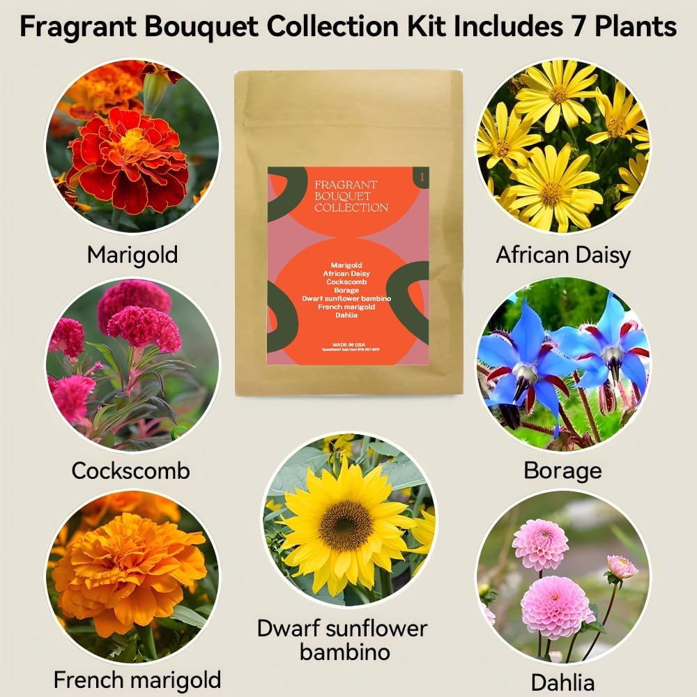 Inbloom Fragrant Bouquet Flower 7 Pods Seed Pod Kit for AeroGarden, iDoo, Ahopegarden, GARDENCUBE(350+ Flower Seeds with Marigold, Daisy, Cockscomb, Borage, Dwarf Sunflower Bambino, Marigold, Dahlia)