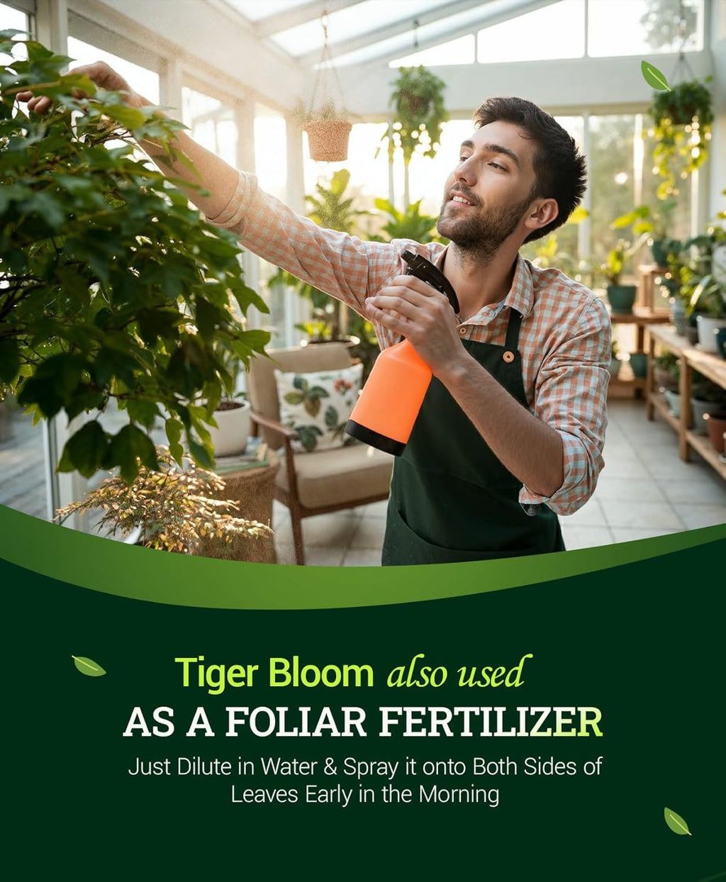 FoxFarm Tiger Bloom Liquid Plant Food - Phosphorus Fertilizer for Buds, Blooms & Flowering - Supports Soil & Hydroponic Systems - High Micronutrient Formula with 2-8-4 Nutrient Ratio - 1 Pint