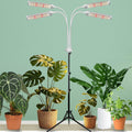 420 LED Grow Lights for Indoor Plants Full Spectrum, LED Plant Light with Stand, Adjustable Height, Plant Grow Lights with Auto 4/8/12/H Timer for Indoor Tall Plants. (420 LEDs)