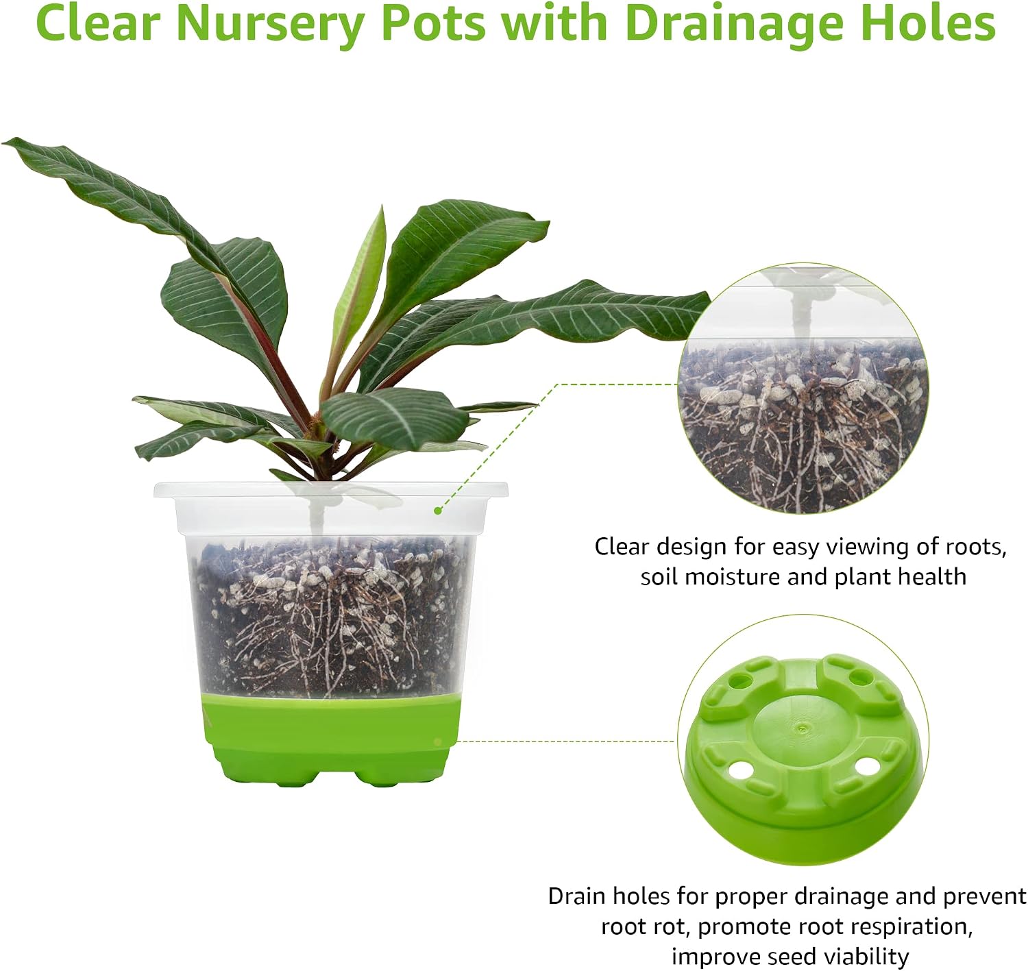 MIXC Clear Nursery Pots with Silicone Base, 4-Inch, 30-Pack | Sturdy Construction, Flexible Base, Drainage Holes, Root and Soil Visibility, Reusable, Seed Starting, Propagation, Green