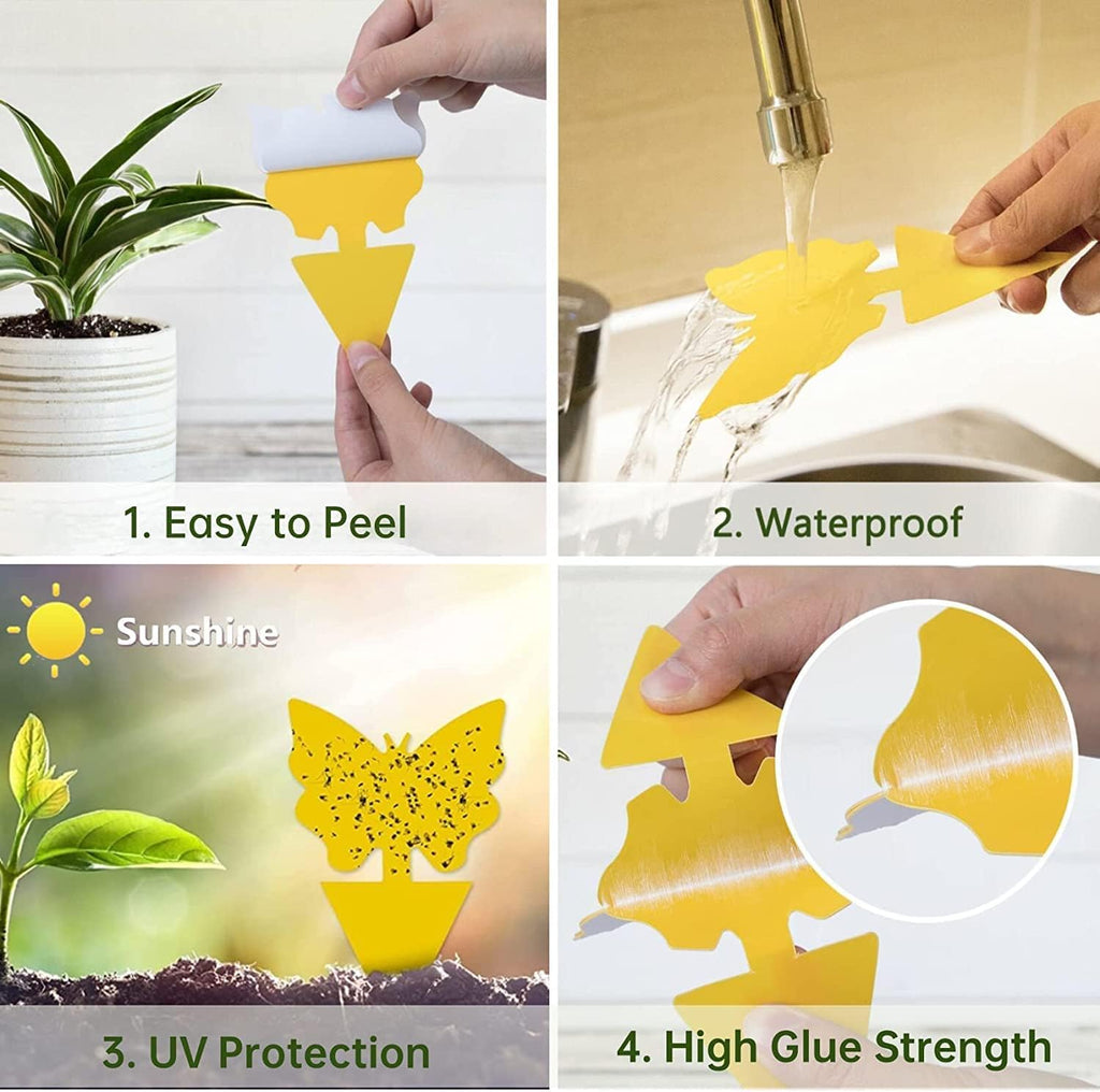 Yellow Sticky Fruit Fly Trap 36 Pack, Dual-Sided Gnat Traps for Plants | Catches Fungus Gnats, Fruit Fly, Whitefly, Aphid, Leaf Miner, No Harm & Odorless, Safe For Indoor Garden & Outdoor Plant Use