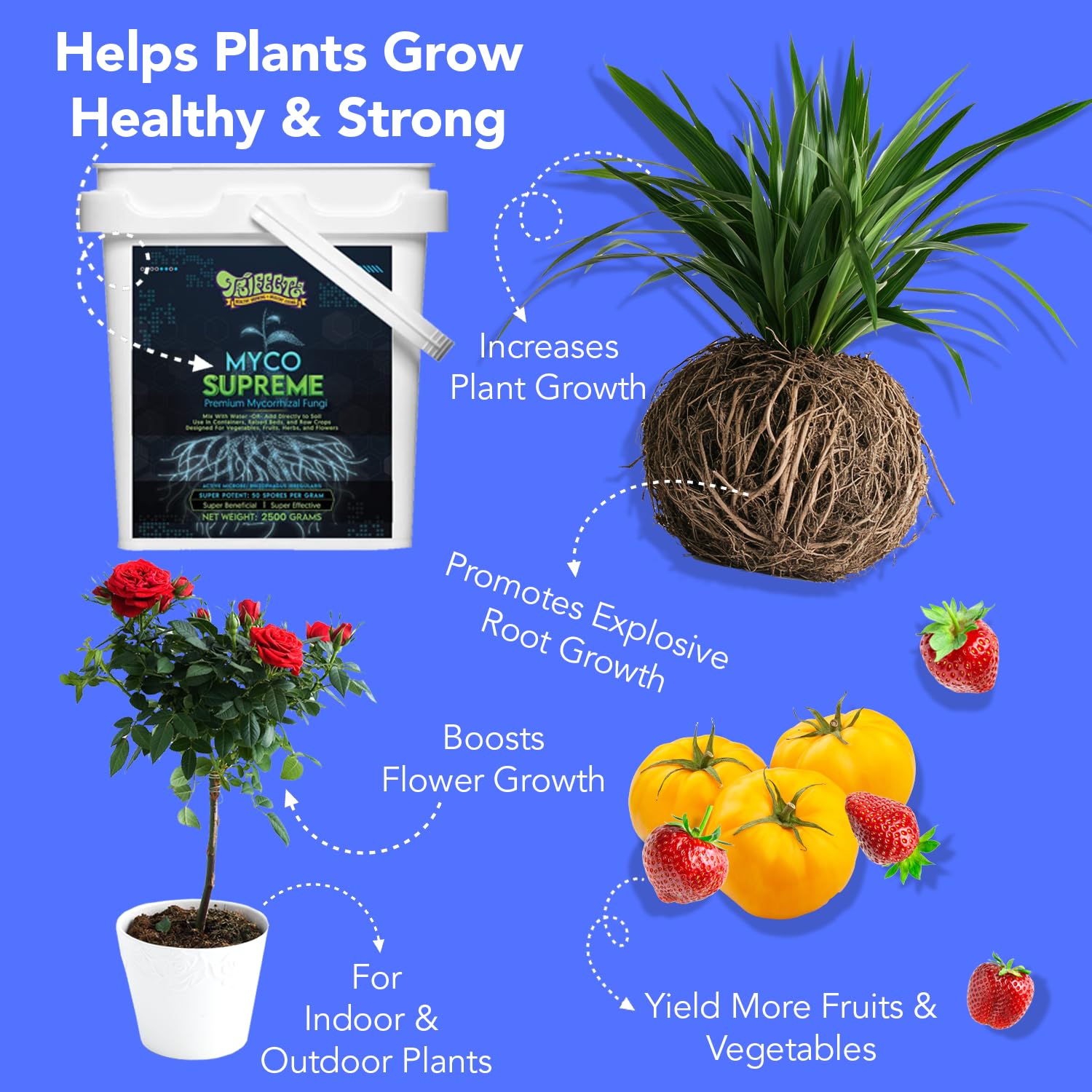 Trifecta Myco Supreme Root Stimulator | 2 oz | Ultra-Concentrated Mycorrhizal Fungi | Supports Strong Roots And Living Soil | For Trees, Roses, Flowers And Plants