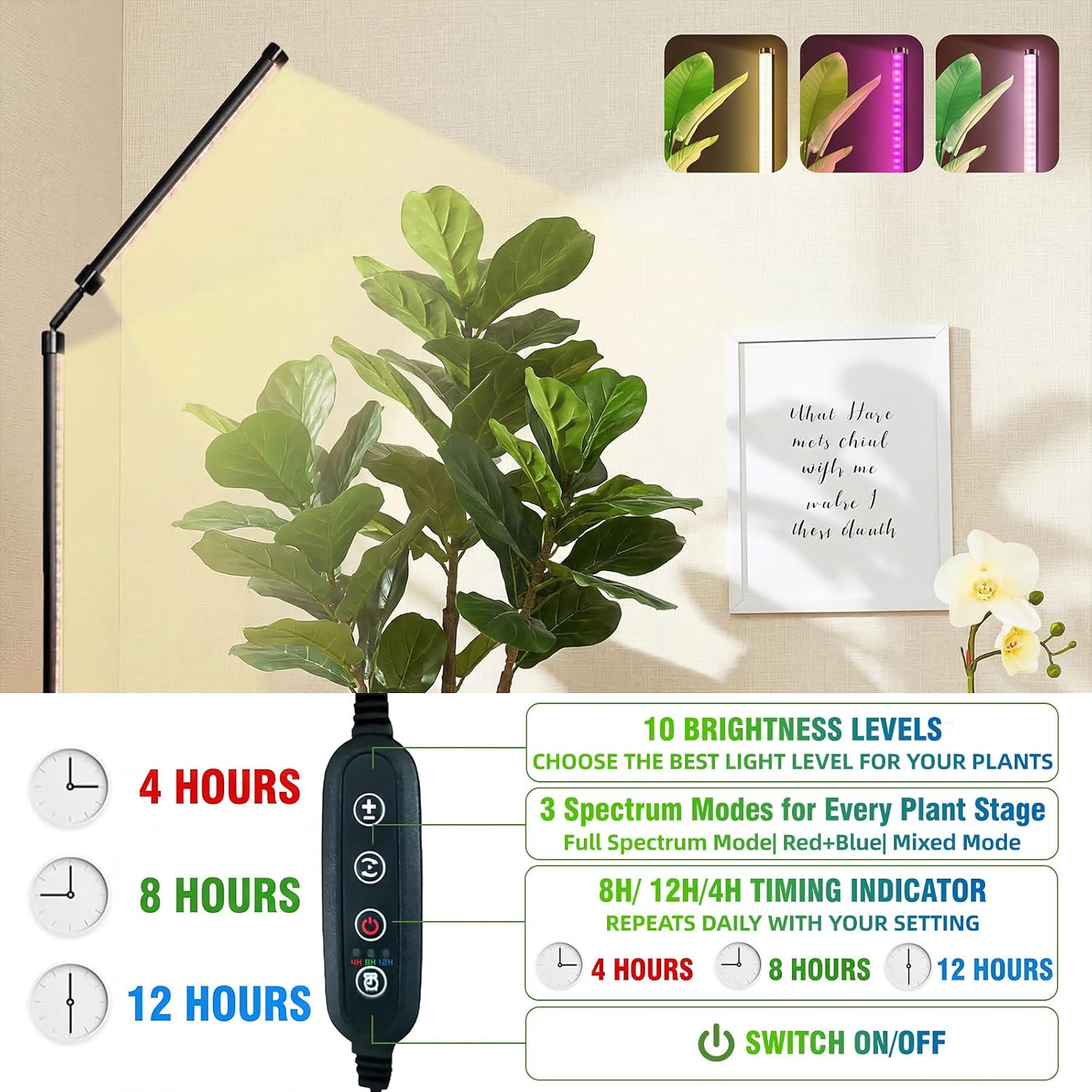 36W Standing Grow Light for Indoor Plants, 65'' Adjustable Tall Grow Light with Stand, 3 Light Modes & 10 Dimmable Levels, Floor Grow Light with Timer for Large Indoor Plants, Herbs, Corners