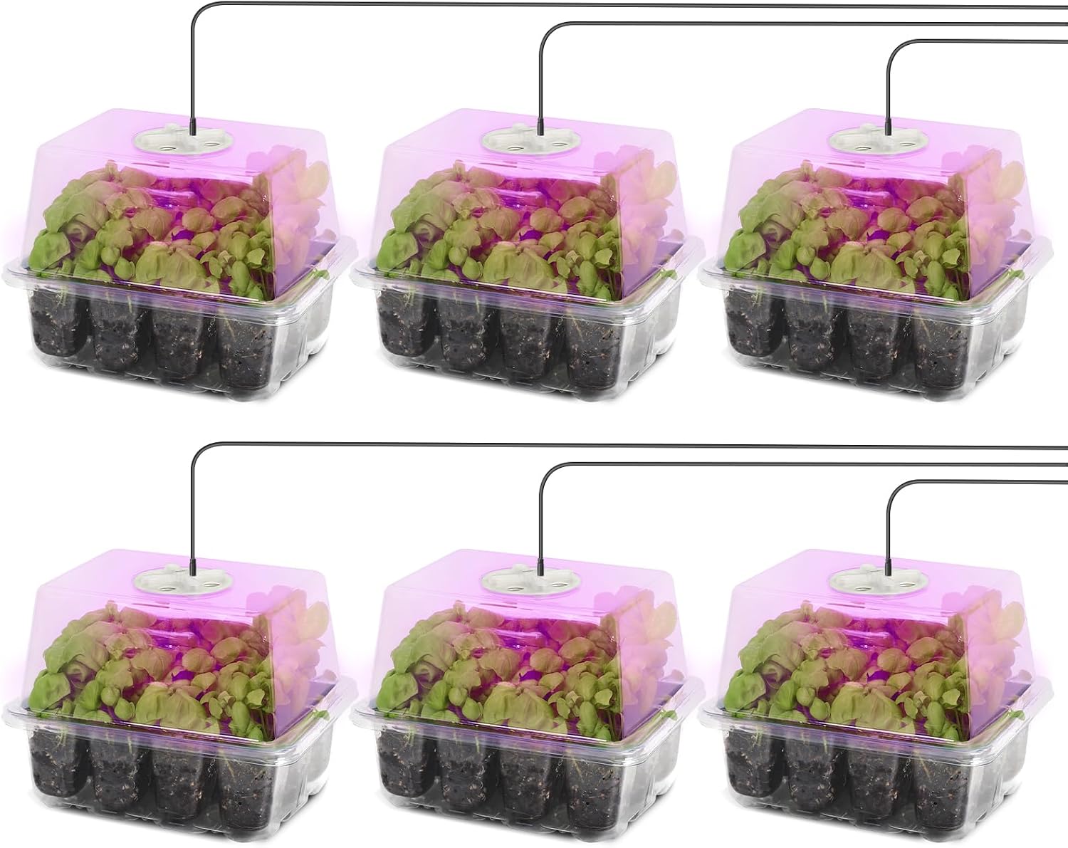Kit de inicio de semillas MIXC con luz de crecimiento, kit de bandeja para plántulas elevadas con cúpula de humedad ajustable y bandeja de celdas transparentes, 12 perlas LED de espectro completo para