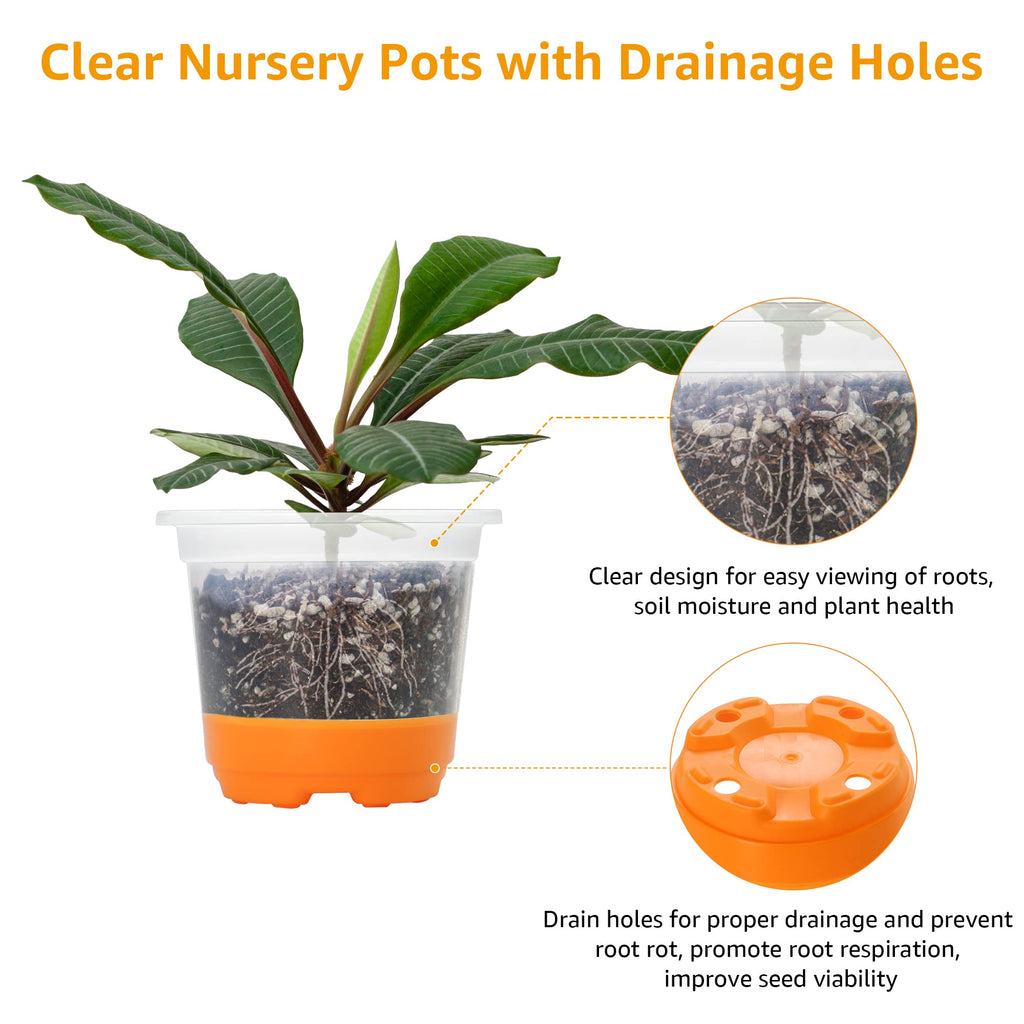 MIXC Clear Nursery Pots with Silicone Base, 4-Inch, 30-Pack | Sturdy Construction, Flexible Base, Drainage Holes, Root and Soil Visibility, Reusable, Seed Starting, Propagation, Green