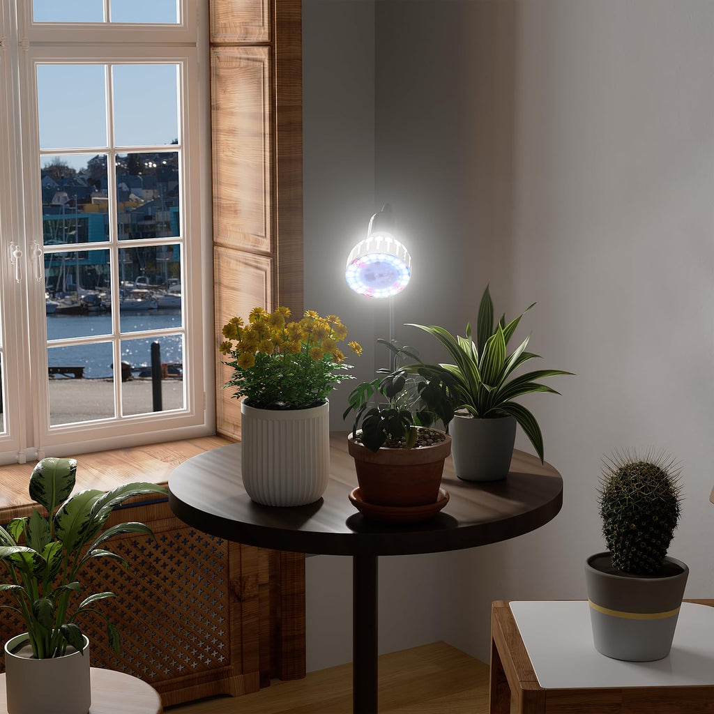Grow Light,24W (160Watts Equiv) 5000K White Full Spectrum LED Growing Lamp Clip on Desk for Indoor Plants,Bulbs Replaceable & Non-dimmable (Black, 80Watts)