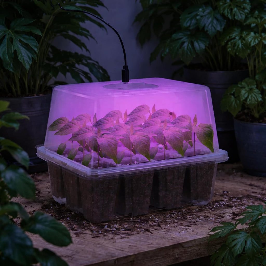 Seed Starter Trays with 12-LED Grow Lights, Clear, 5 Pack | 5 clear-base seedling kits, 60 cells, 12-LED grow light per tray, vented humidity domes, drainage holes, 1-to-5 USB cable