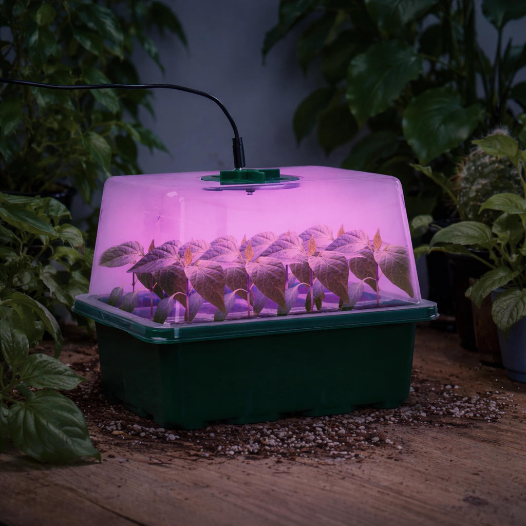 Seed Starter Trays with 12-LED Grow Lights, Clear, 5 Pack | 5 clear-base seedling kits, 60 cells, 12-LED grow light per tray, vented humidity domes, drainage holes, 1-to-5 USB cable
