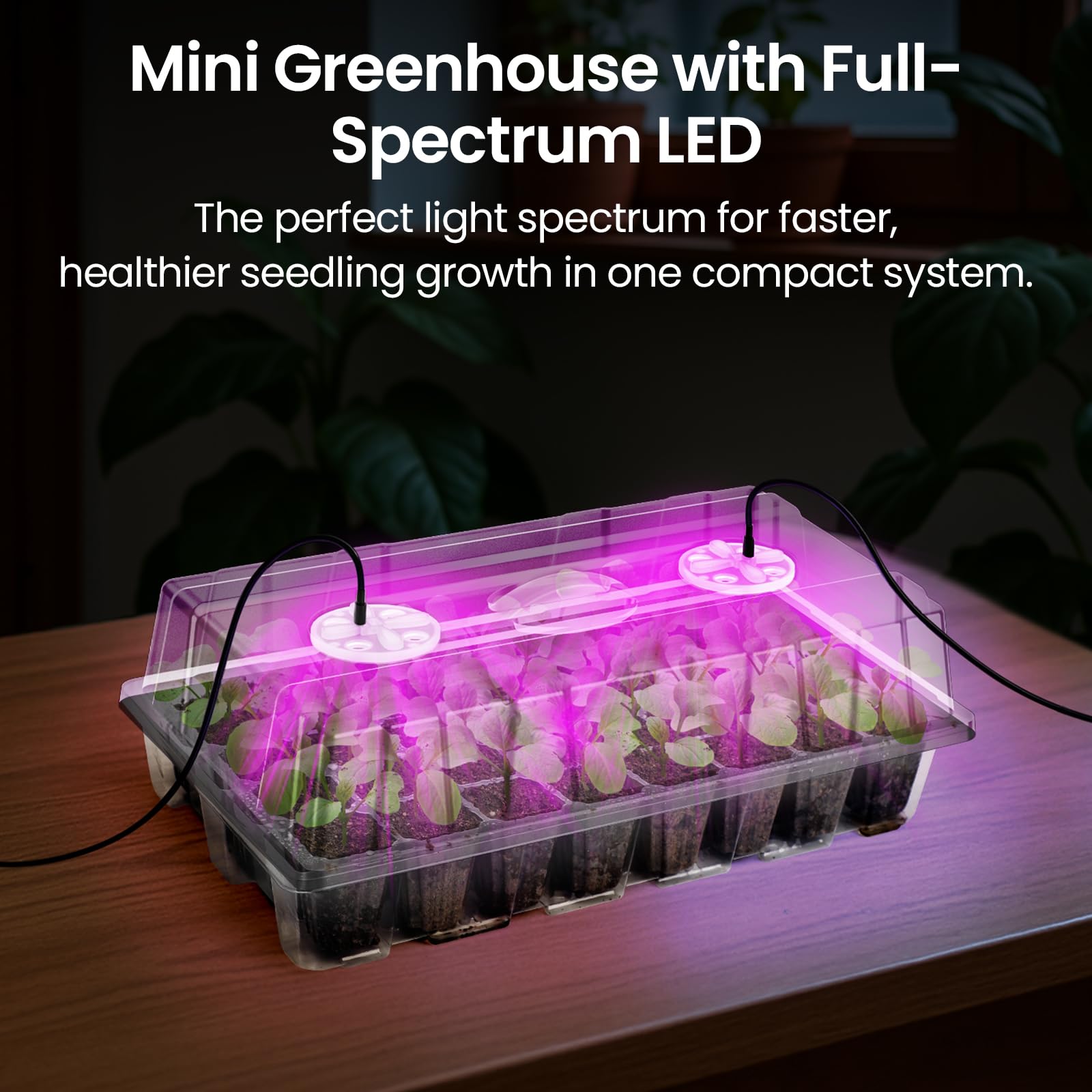 Seed Starter Trays with 12-LED Grow Lights, Clear, 5 Pack | 5 clear-base seedling kits, 60 cells, 12-LED grow light per tray, vented humidity domes, drainage holes, 1-to-5 USB cable