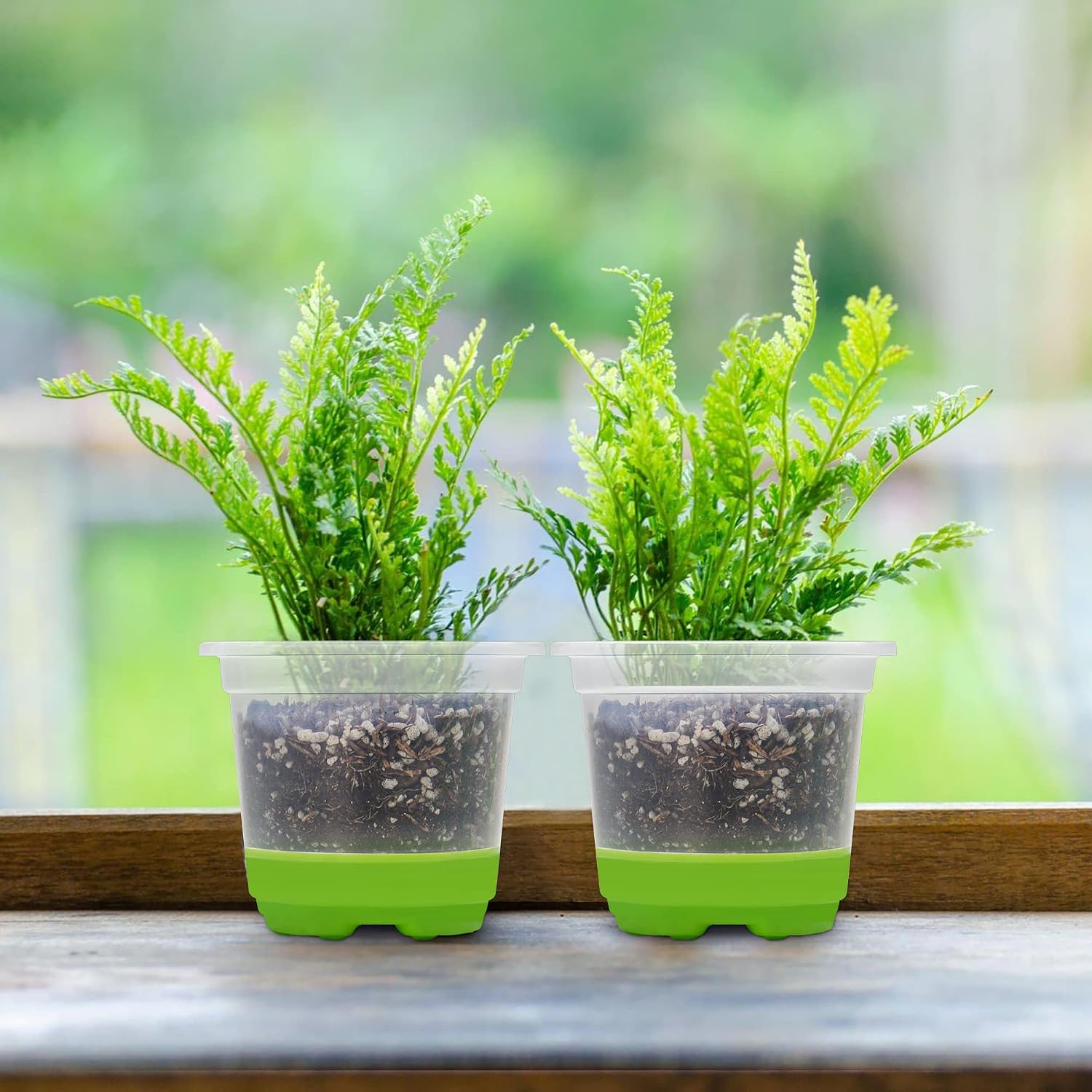 MIXC Clear Nursery Pots with Silicone Base, 4-Inch, 30-Pack | Sturdy Construction, Flexible Base, Drainage Holes, Root and Soil Visibility, Reusable, Seed Starting, Propagation, Green