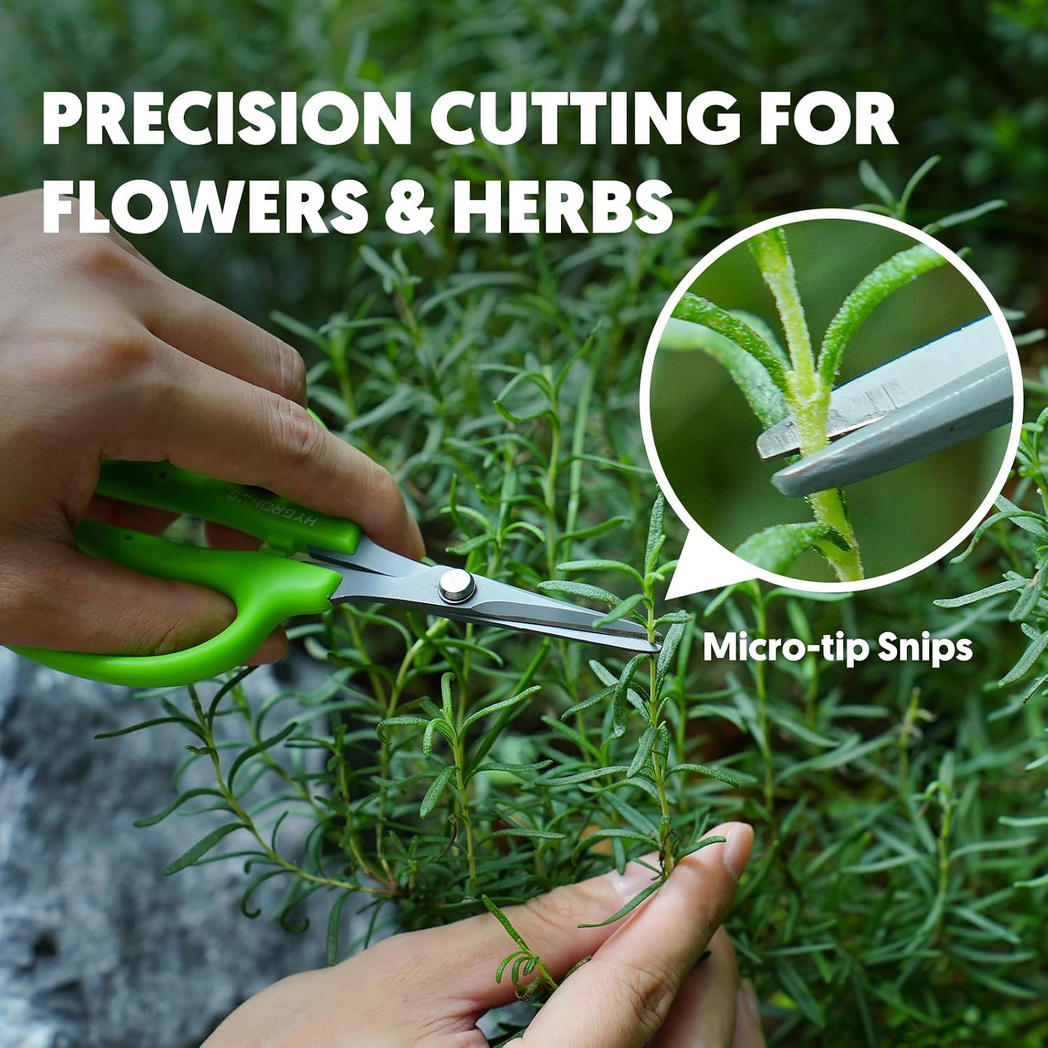 Garden Scissors, 6-in Curved Blade Pruning Shears, Non-Stick Coated Steel | Sharp Small Gardening Snips for Plants, Herbs, Flowers in Grow Tent and Hydroponics, Garden Trimming Tools, Easy to Clean