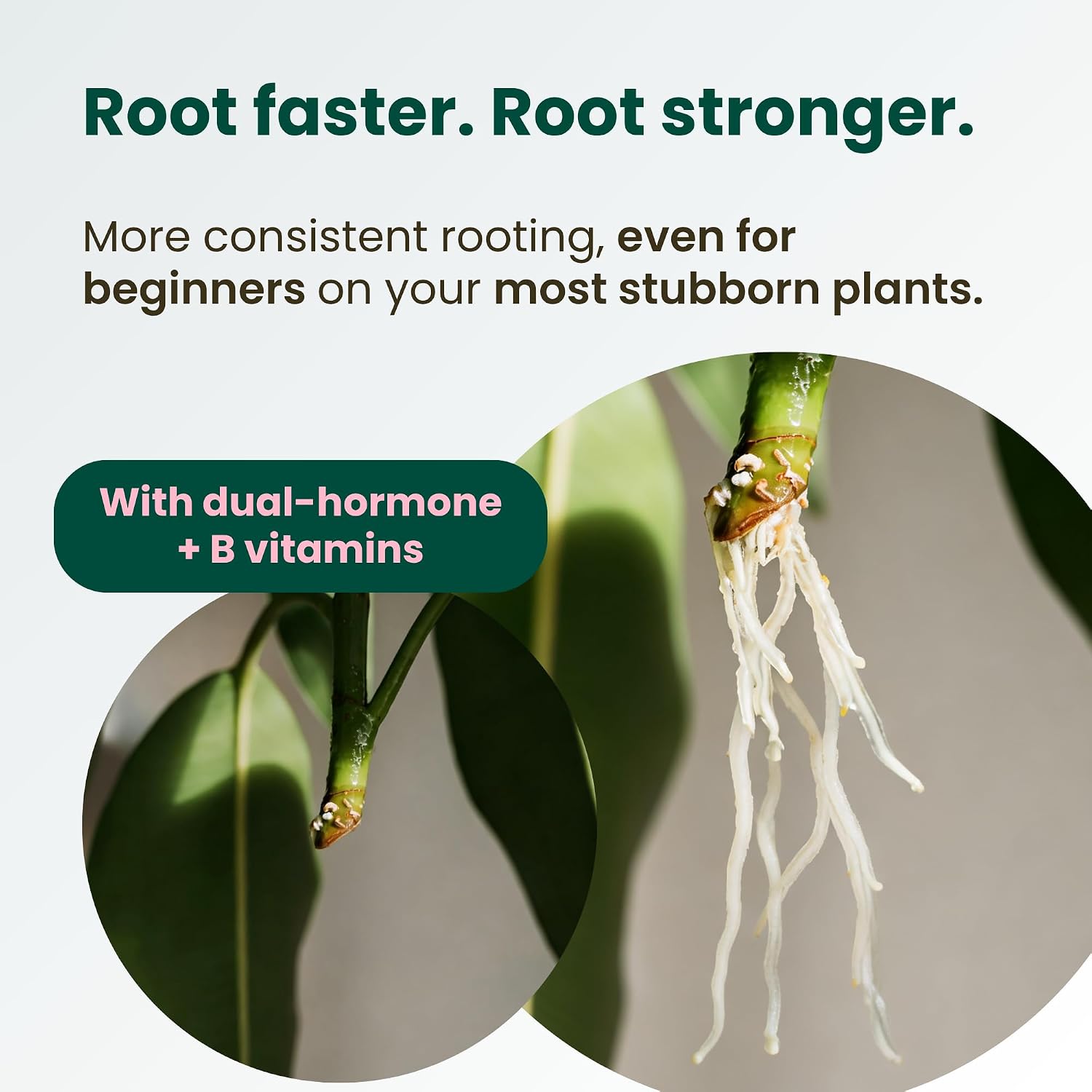 Propogation Drops by The Green Alcove | Rooting Hormone for Cuttings in Water and Soil, Includes 2 Types of Hormones and Added Vitamins for Root Growth (4 fl oz)