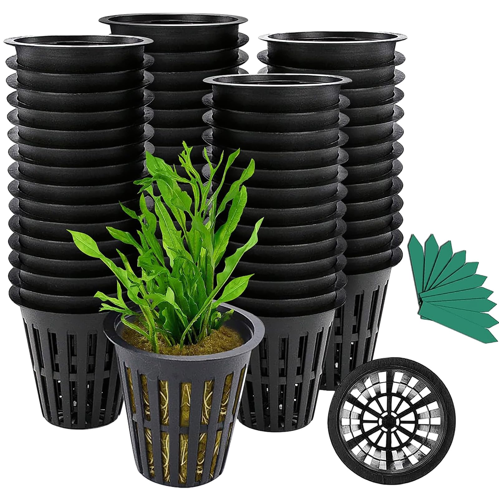 GROWNEER Net Pots 50 Pcs 2 Inch Garden Slotted Mesh Net Cups with 50Pcs Plant Labels, Heavy Duty Hydroponic Pot Supplies Planting Grow Basket for Indoor Outdoor