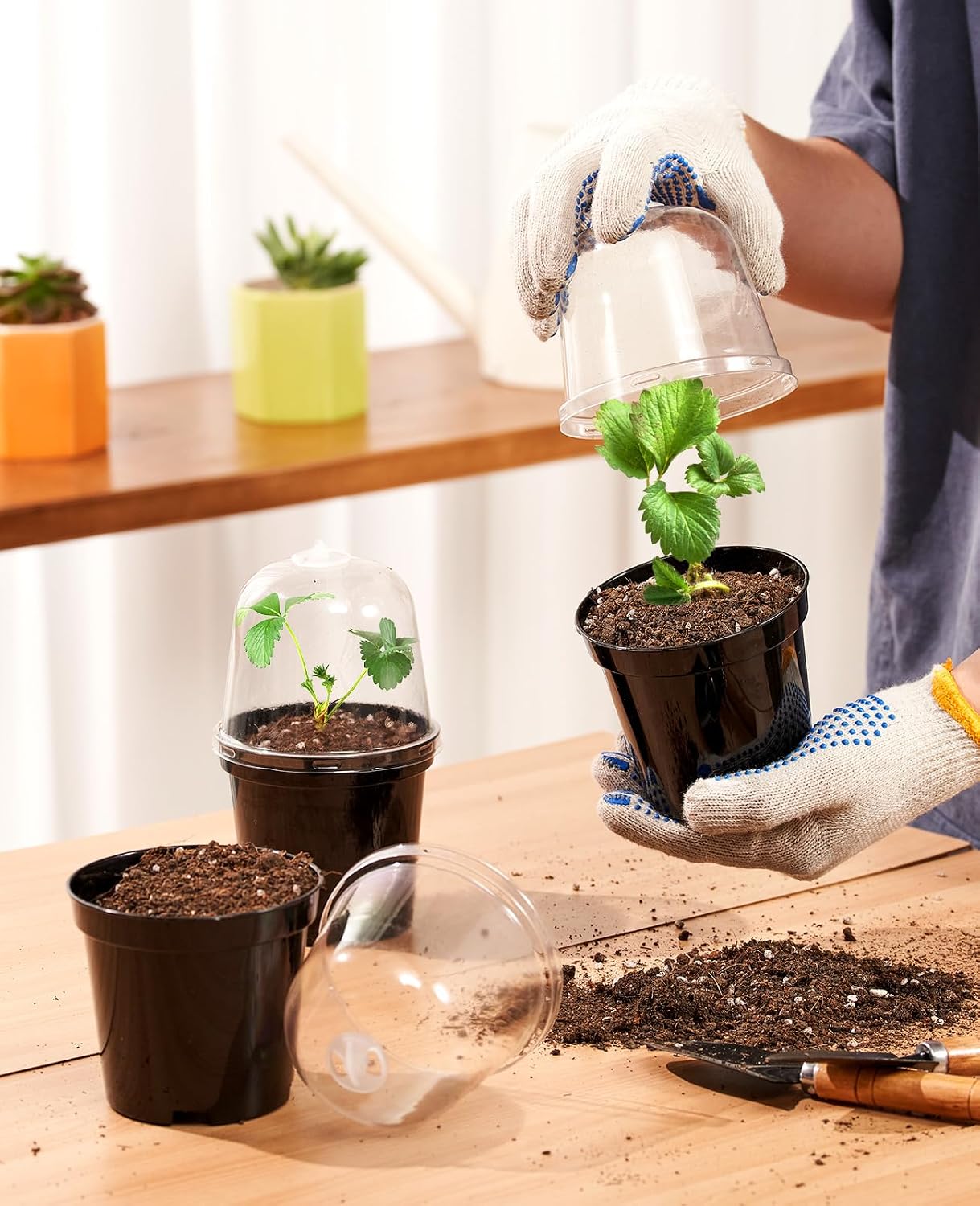 3/4/5 Inch Black Plastic Nursery Pots with Humidity Domes (15 Pcs) | Drainage holes and raised bases improve airflow, while plant labels identify cuttings, seedlings, herbs and young succulents.